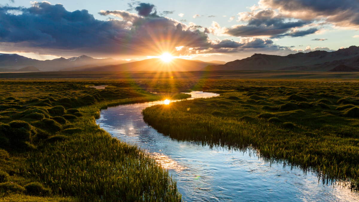 Clearing the path for water and ressource savings.