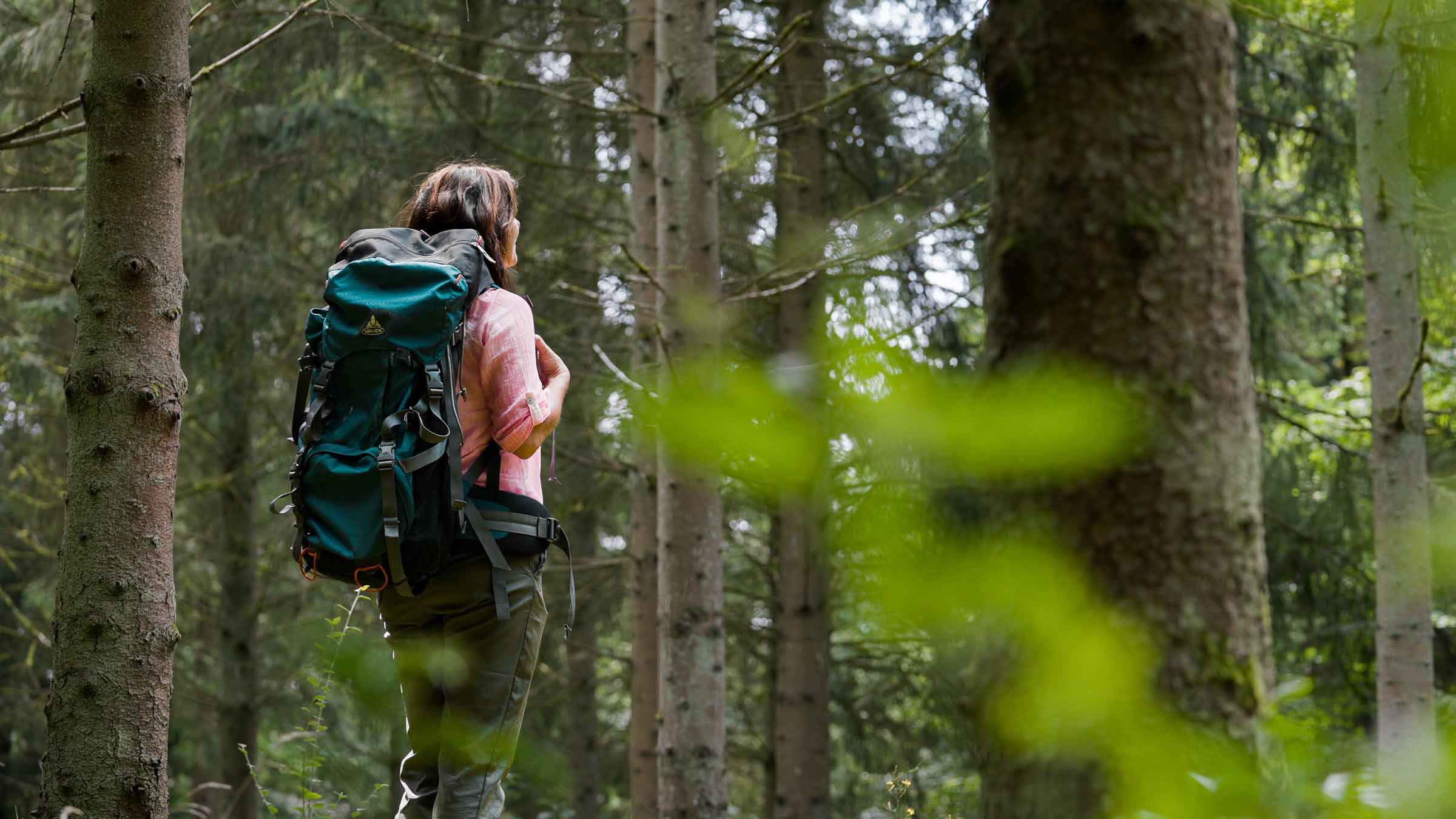 carbon-capture-solutions-emission-control