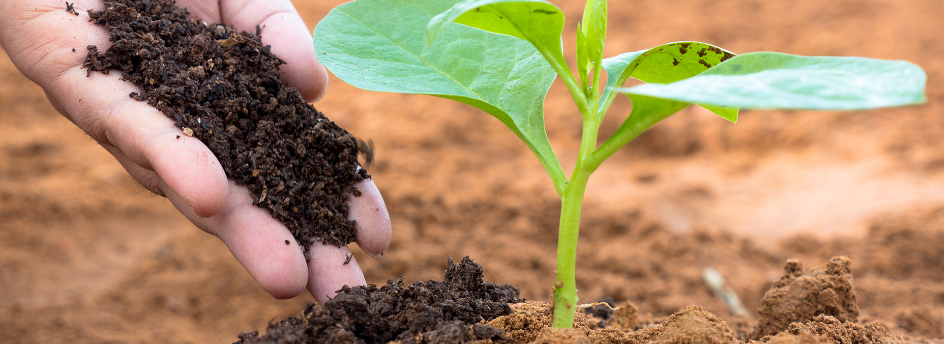 Agricultural biomass