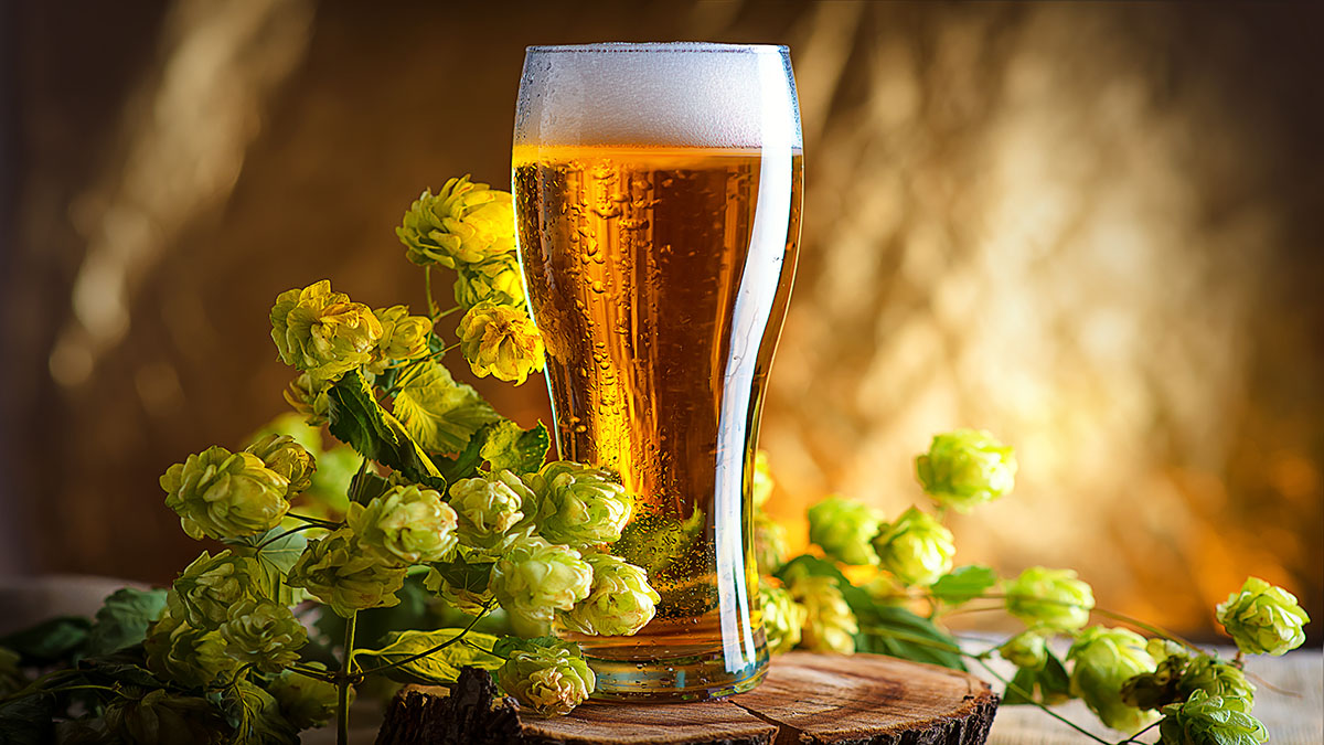 Efficient, productive and sustainable beer processing solutions from GEA