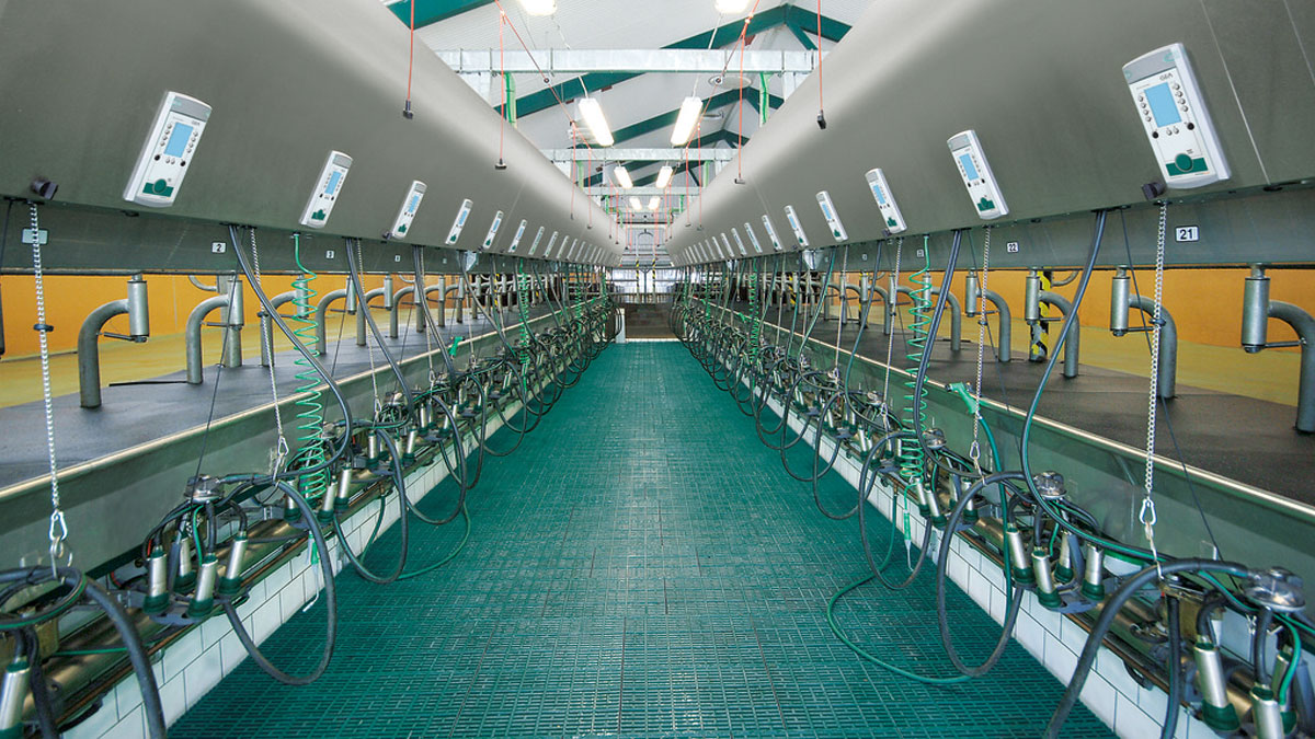 Side-by-side parallel milking parlor Global 90i from GEA’s DairyParlor Line