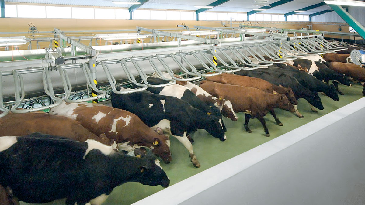 Side-by-Side Parlor - Global 90i