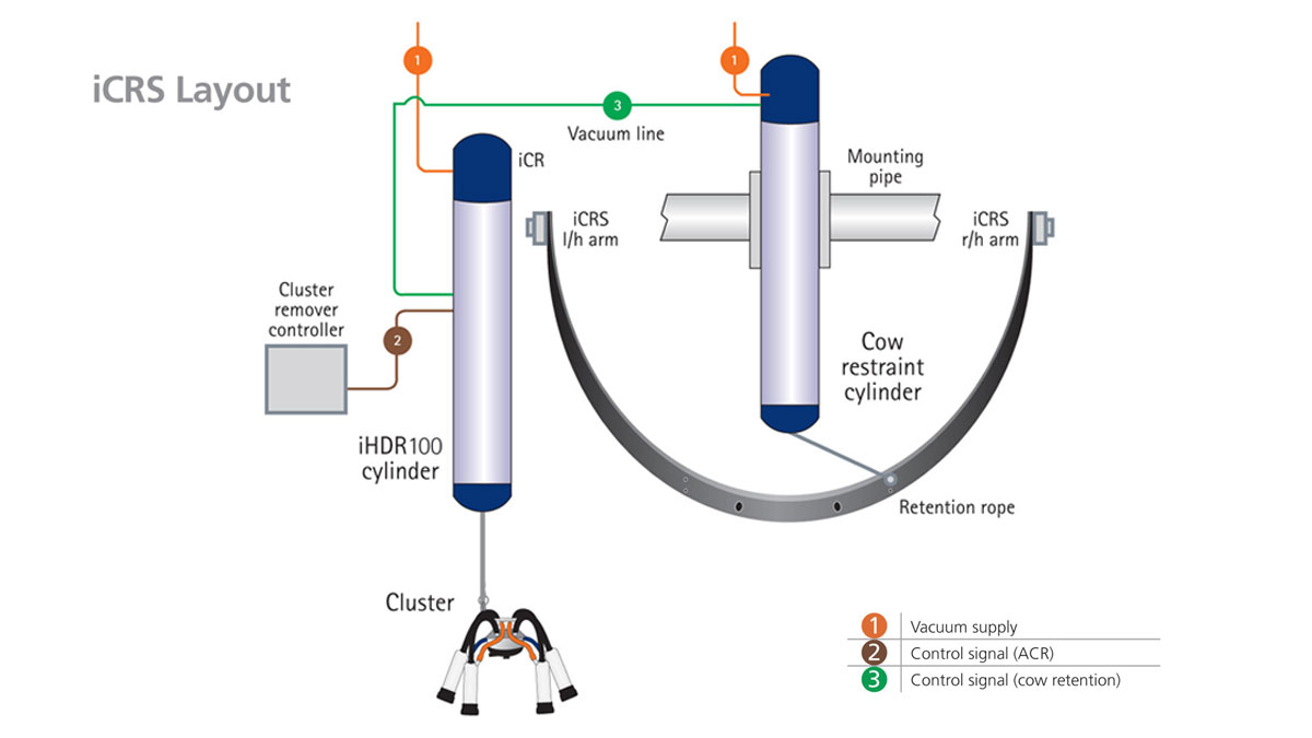 Milking Detacher - iCRS Cow Restraint System