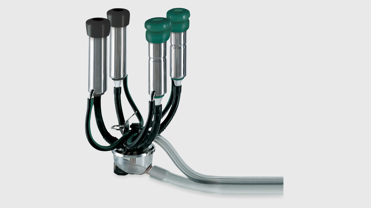 Milking Cluster Classic 300