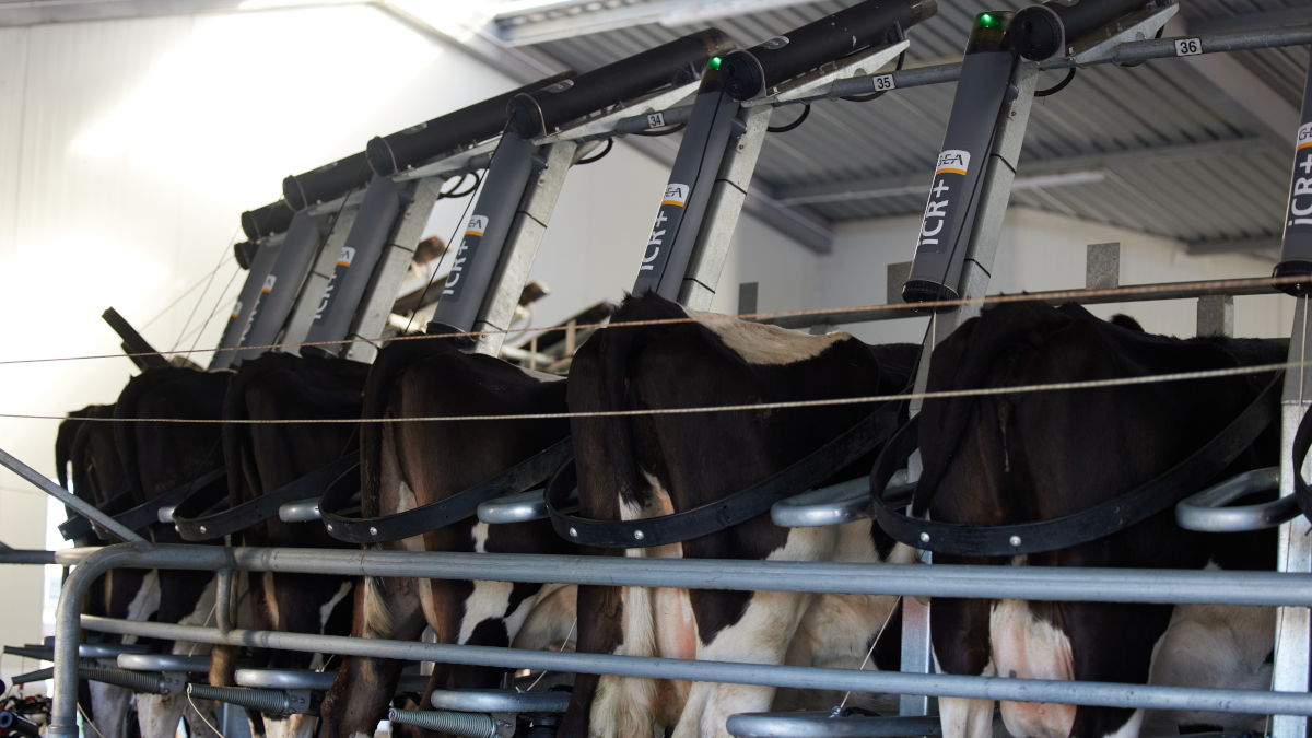 Cluster removers and bail restraints