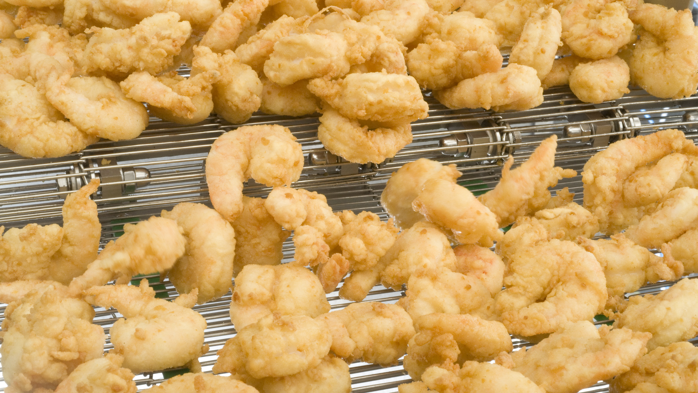 Frying oil filtration with GEA Oberlin | Fried shrimps outfeed
