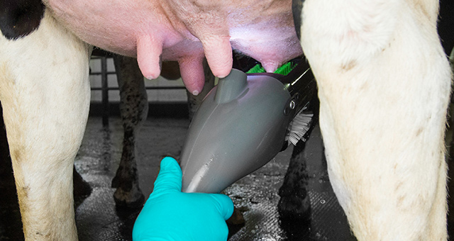 FutureCow Prep System