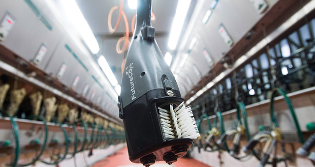 FutureCow Teat Prep System Scrubber Milking