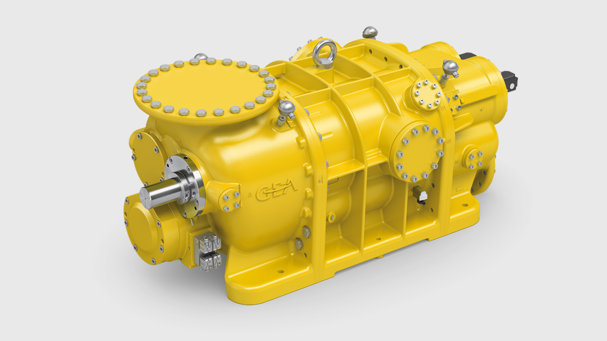 Gas compressor according to API 619