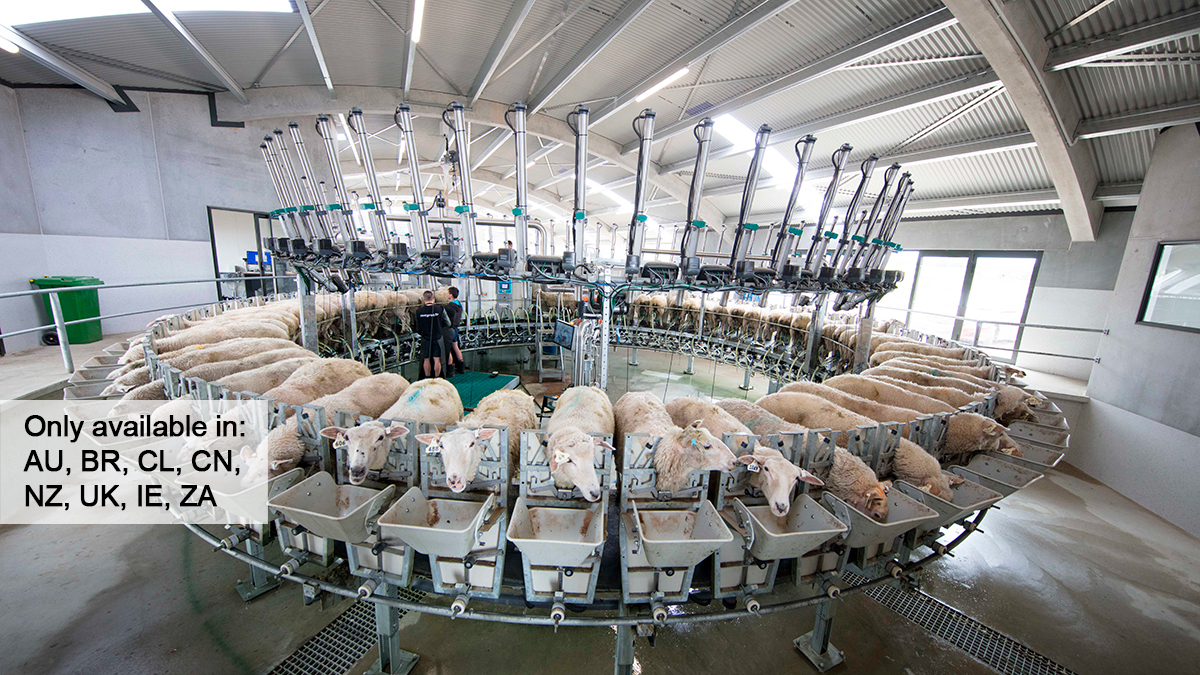 SHEEP AND GOAT ROTARY MILKING PARLOUR