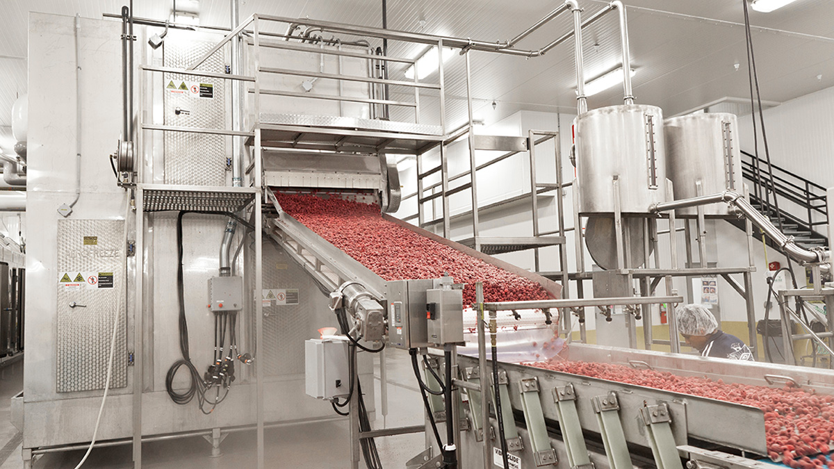 Zamrażarka tunelowa GEA serii AY