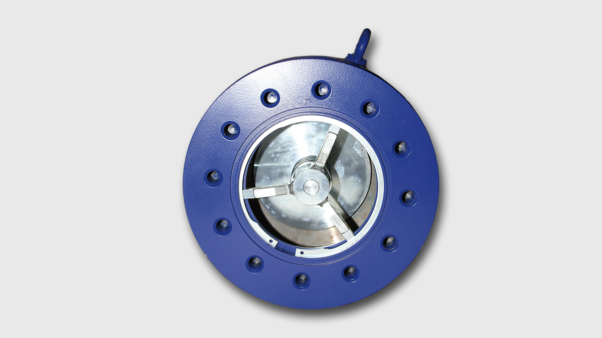  RVZ Check Valves