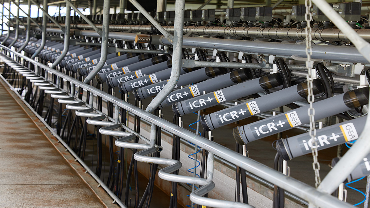 iXPRESS4+ Herringbone parlor