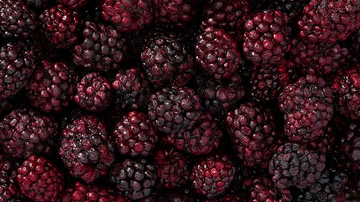 Freeze dried blackberries