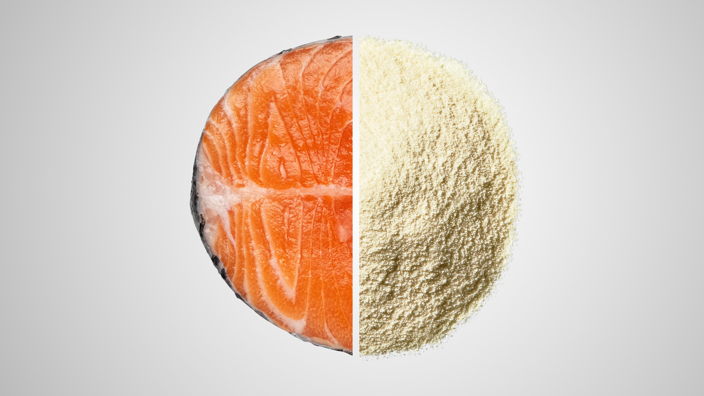 Spray dried fish protein