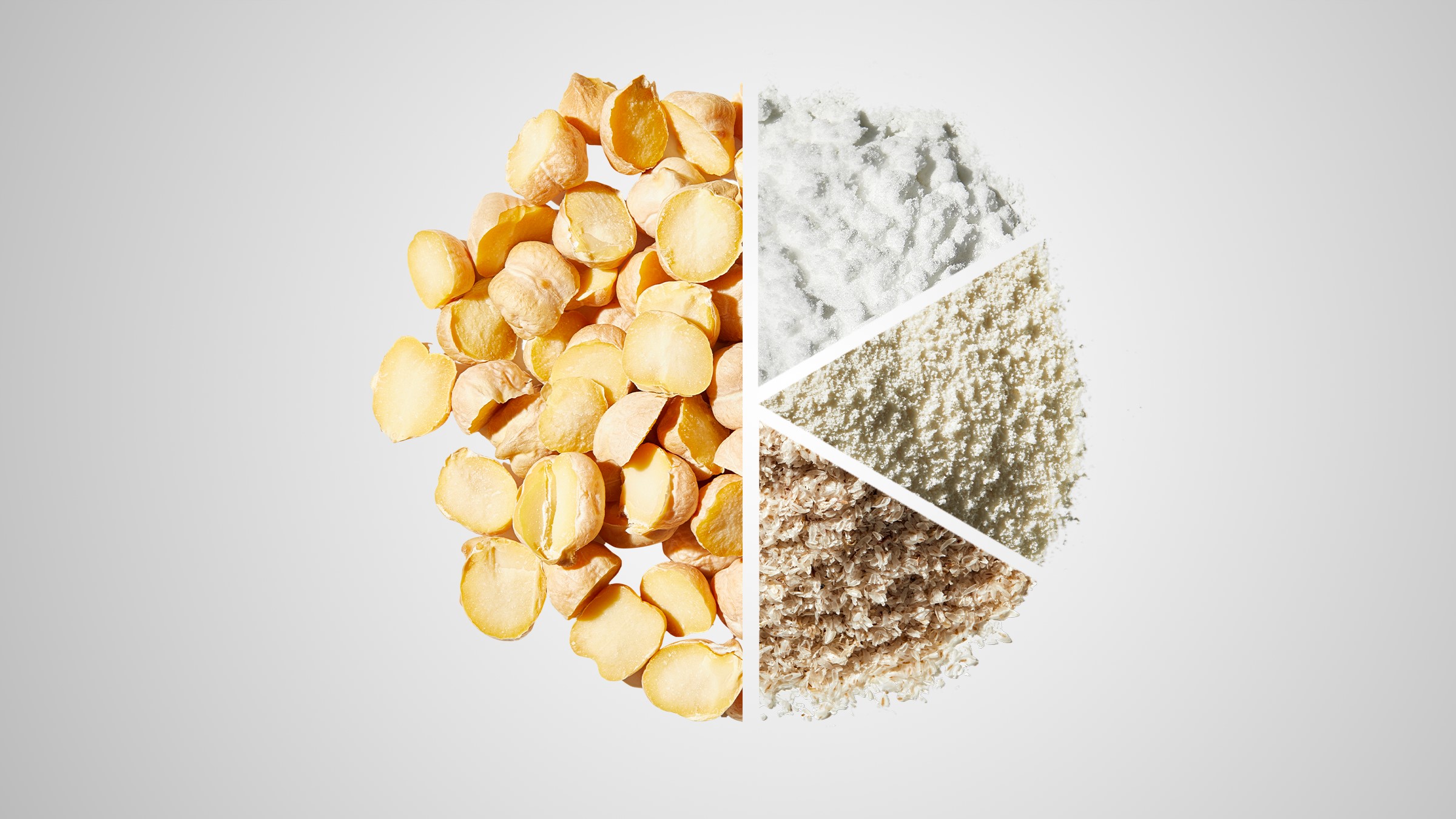 Spray dried plant-based protein