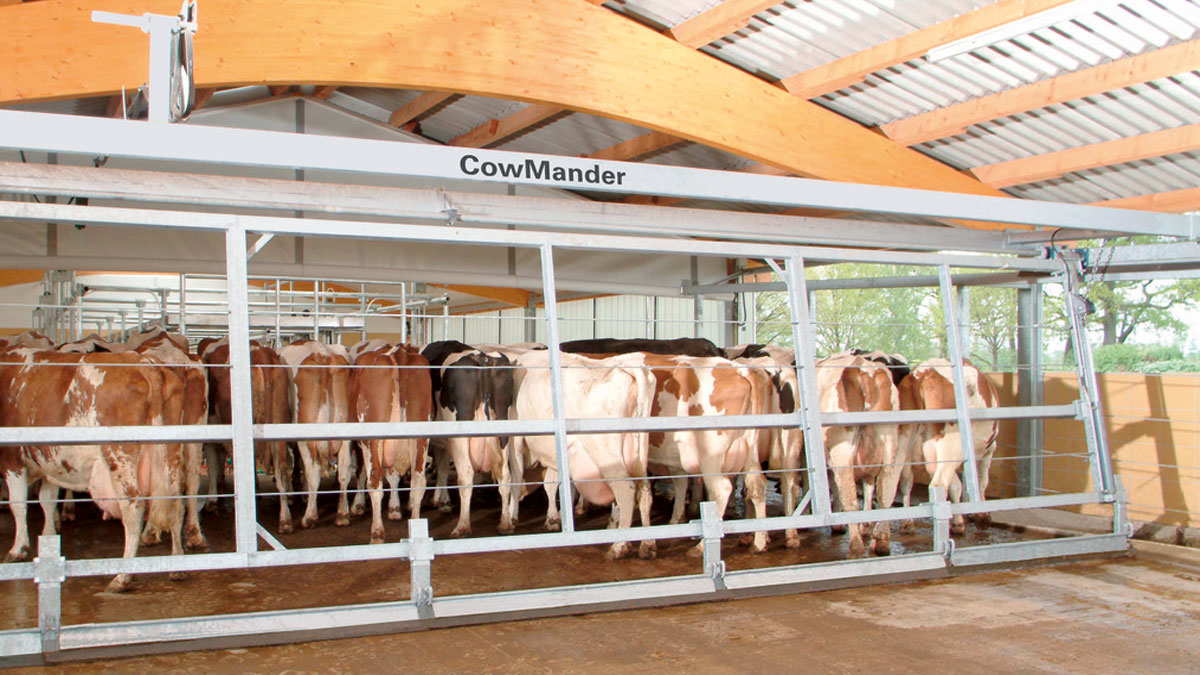 Cow Driving System - CowMander
